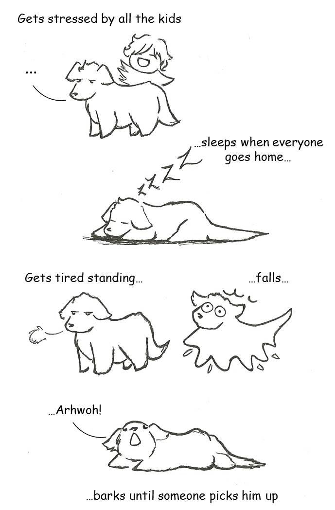 My poor dog Levi, sweetest creature in all of creation - FACT