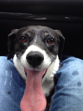 image-1382389505275-V (1)